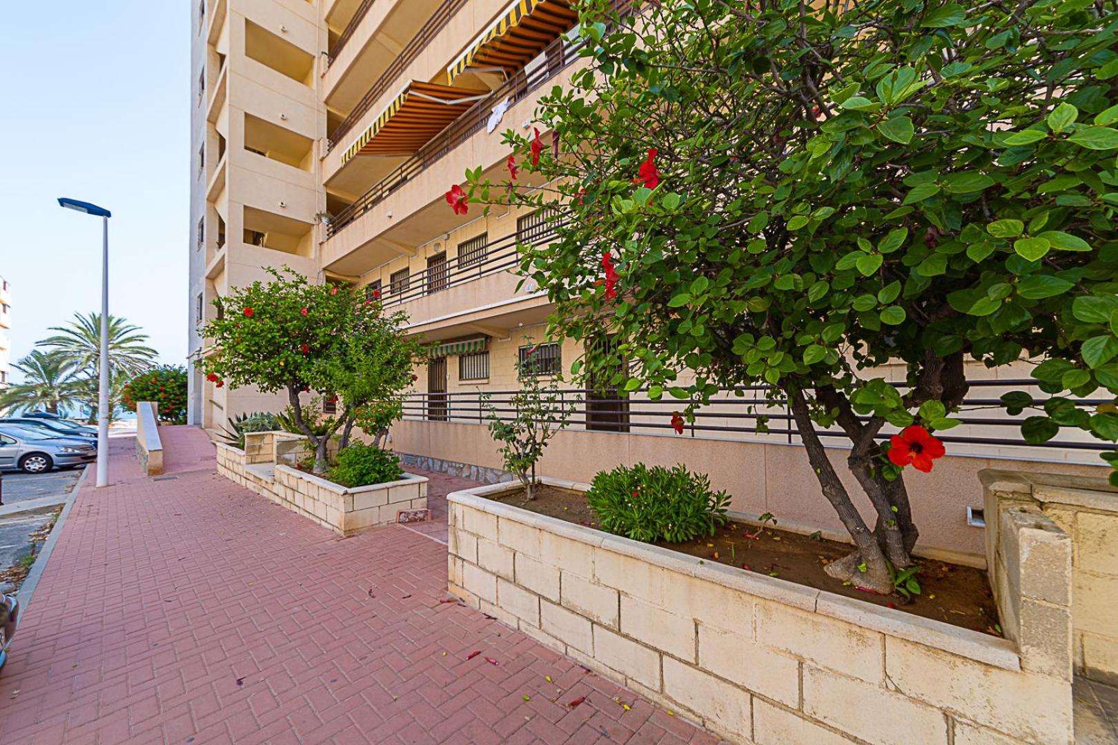 Apartament Miramar Magic Sea & Sunrise View Torrevieja Zewnętrze zdjęcie